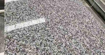 荆州 芙蓉白光面