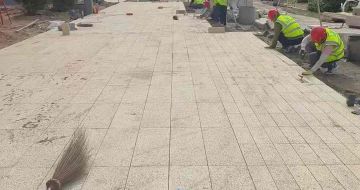 荆州黄金麻荔枝面地铺案例