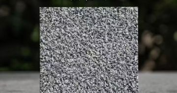 荆州 芝麻黑荔枝面