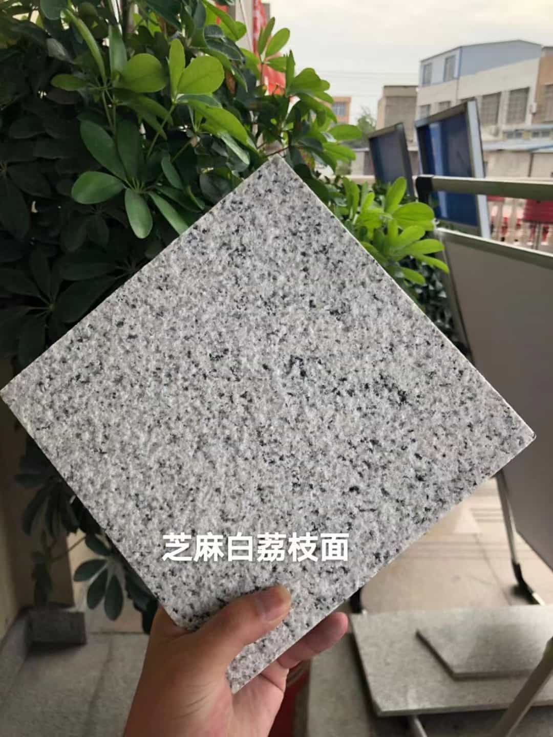 荆州 芝麻白荔枝面干挂