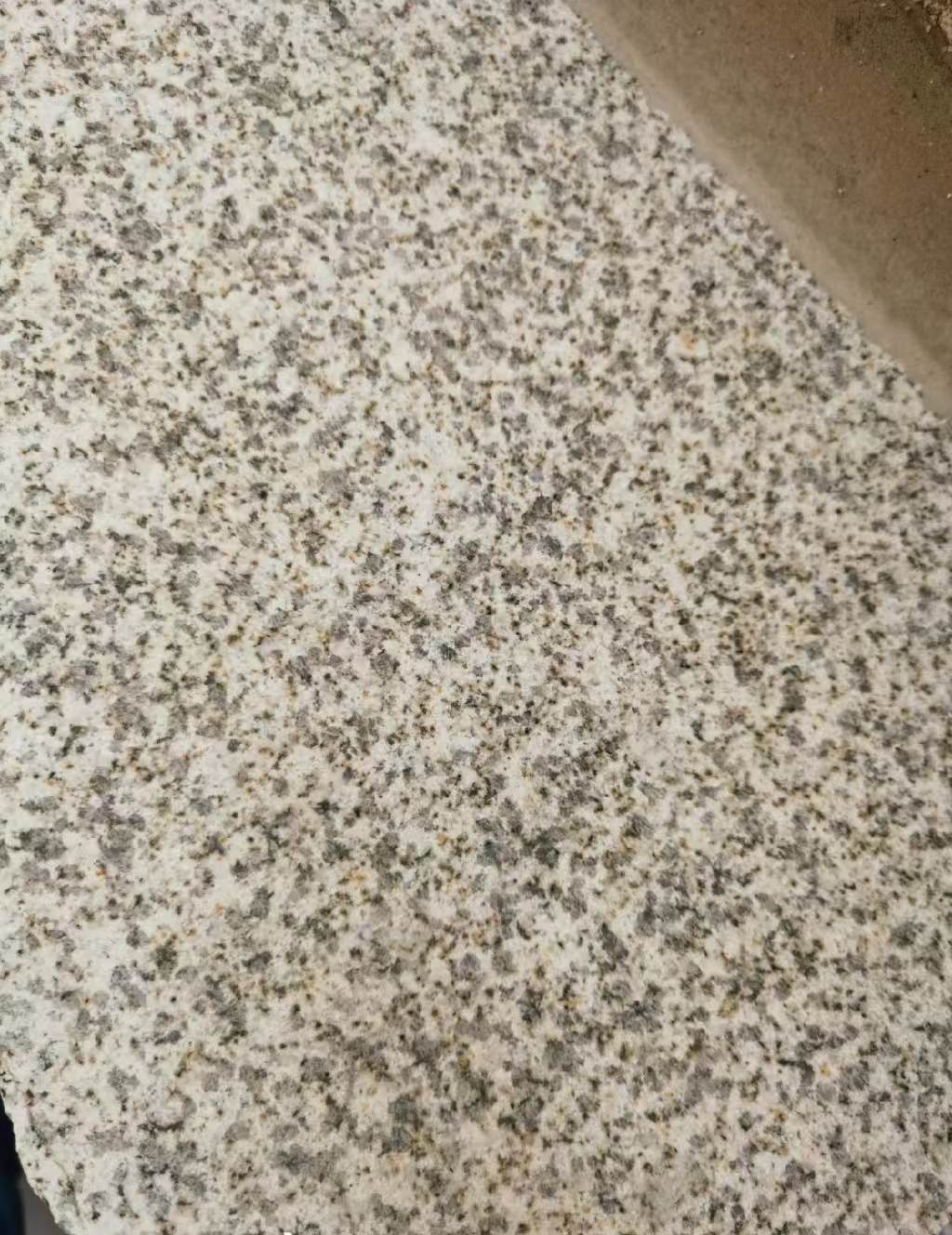 荆州 黄金麻中黄光面