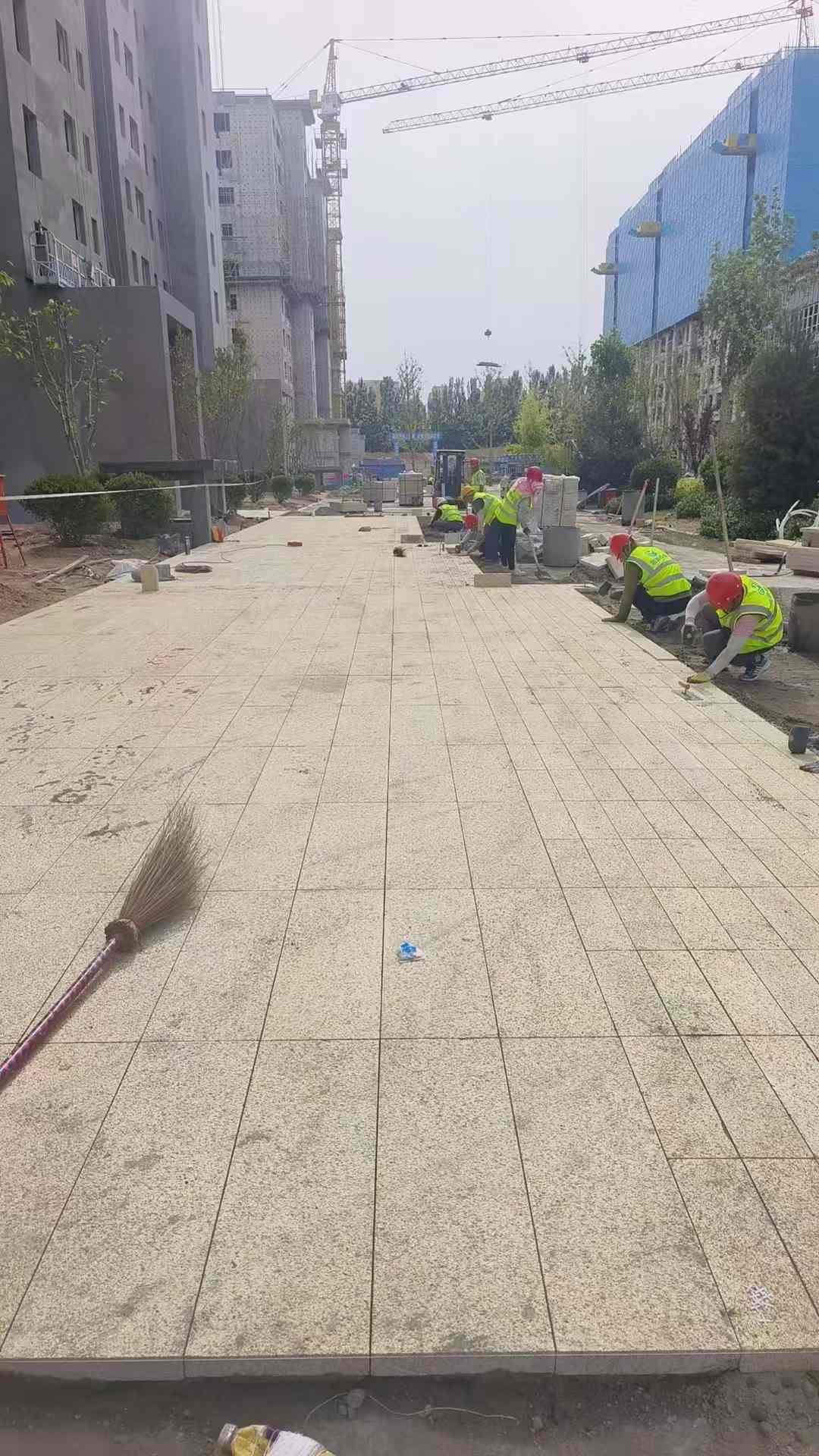 荆州黄金麻荔枝面地铺案例